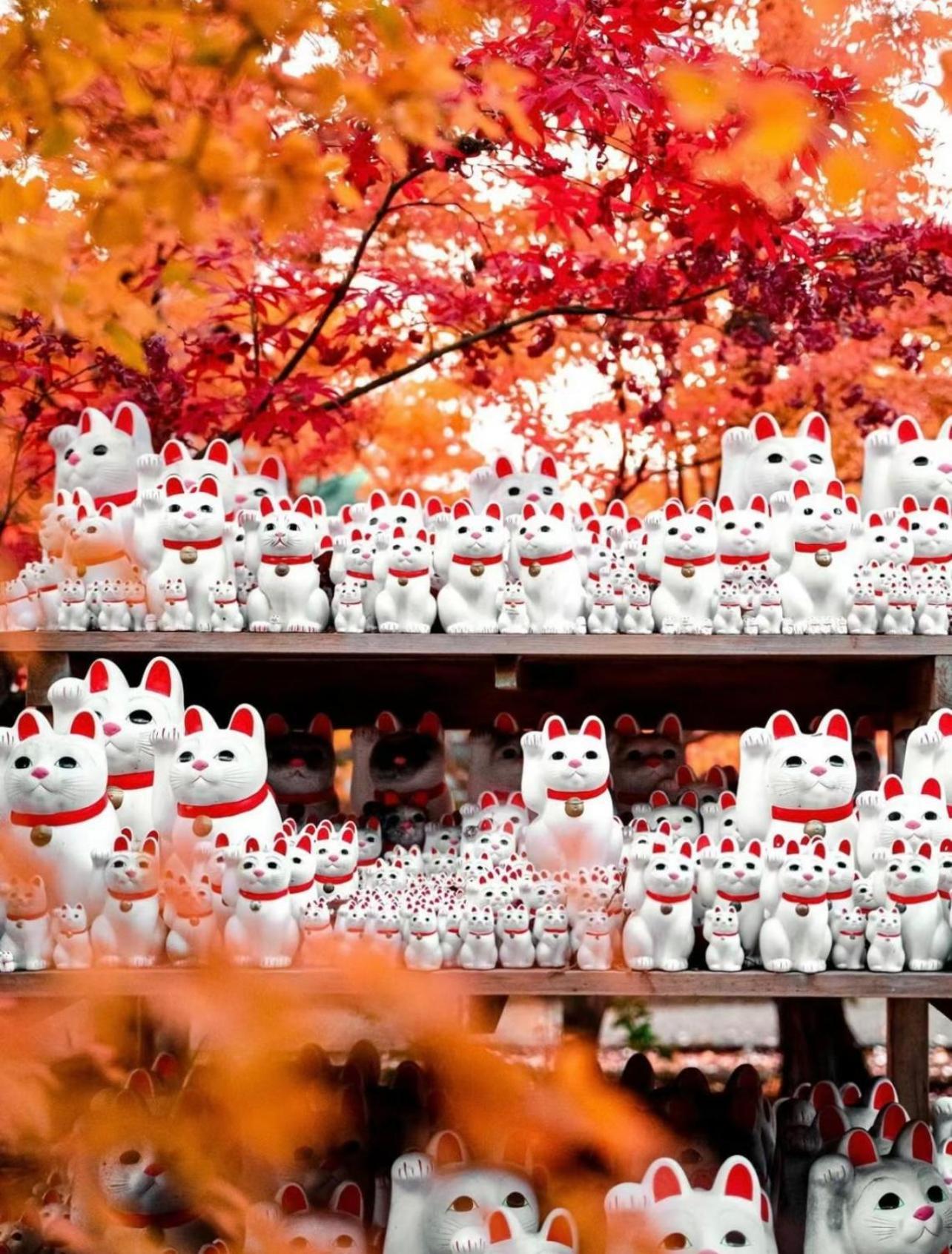 吉吉の家 Villa Tokió Kültér fotó